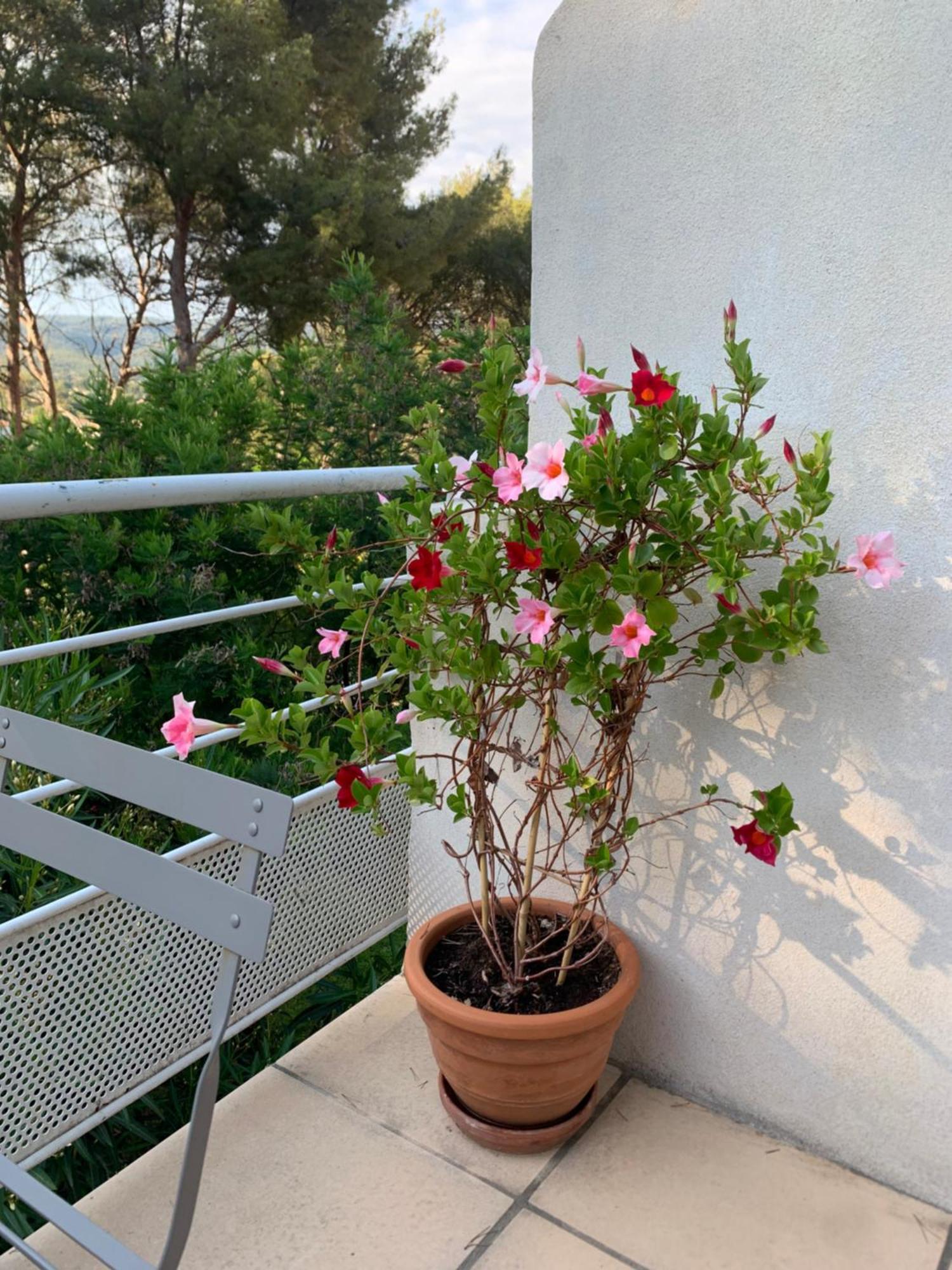 Appartement Duplex La Ciotat Exterior foto